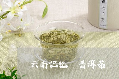 云南记忆 普洱茶/2023041006370